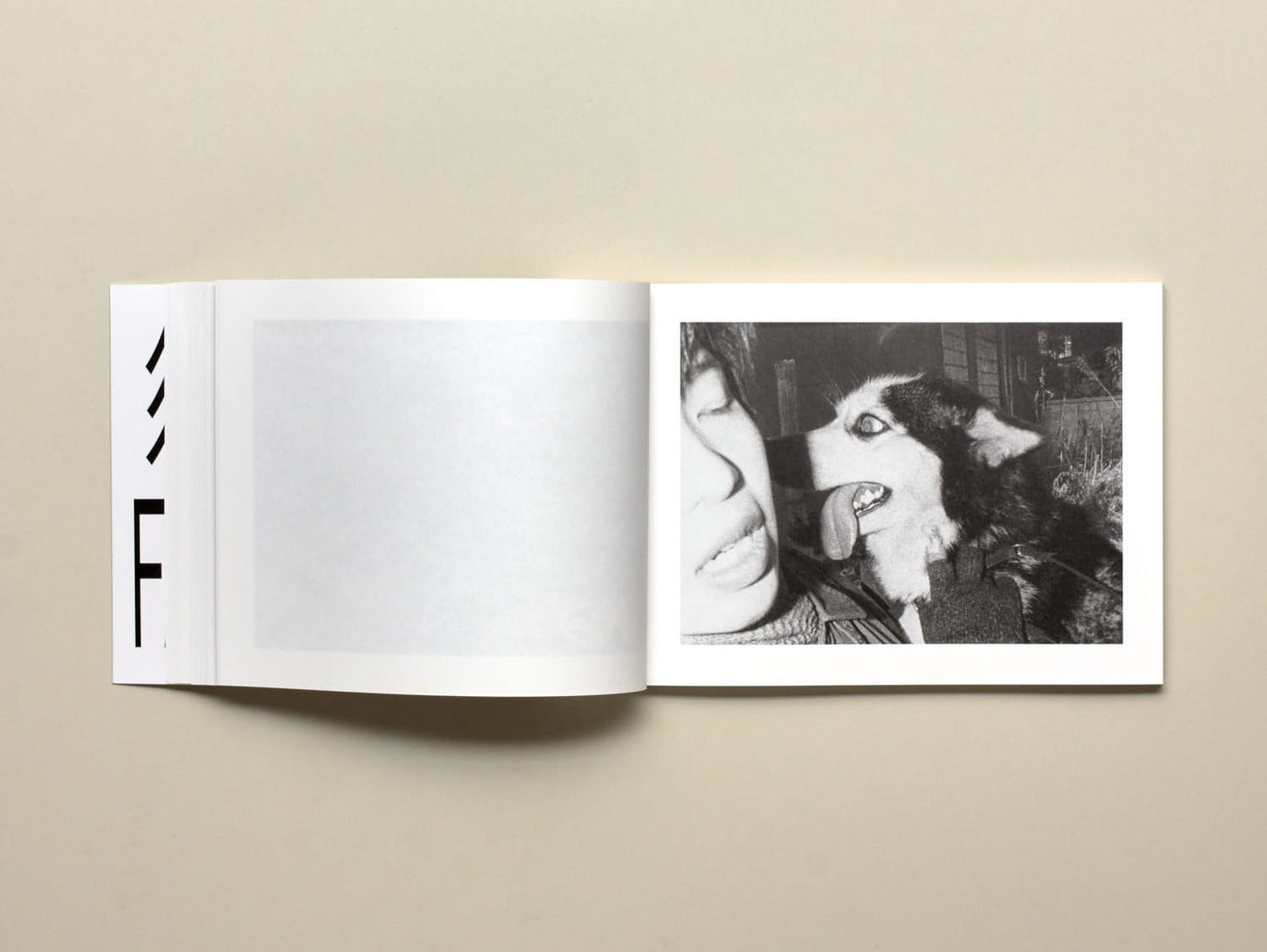 Issei Suda, Family Diary