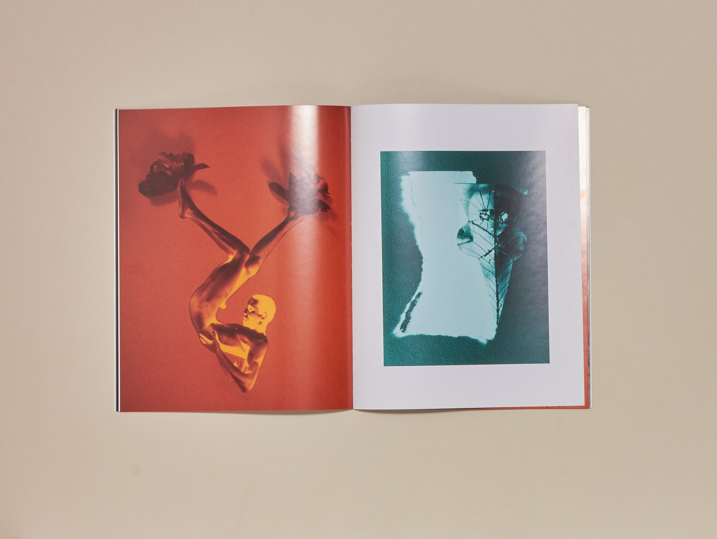 Jimmy DeSana, Salvation