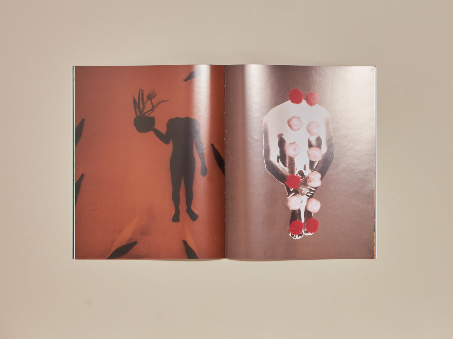 Jimmy DeSana, Salvation