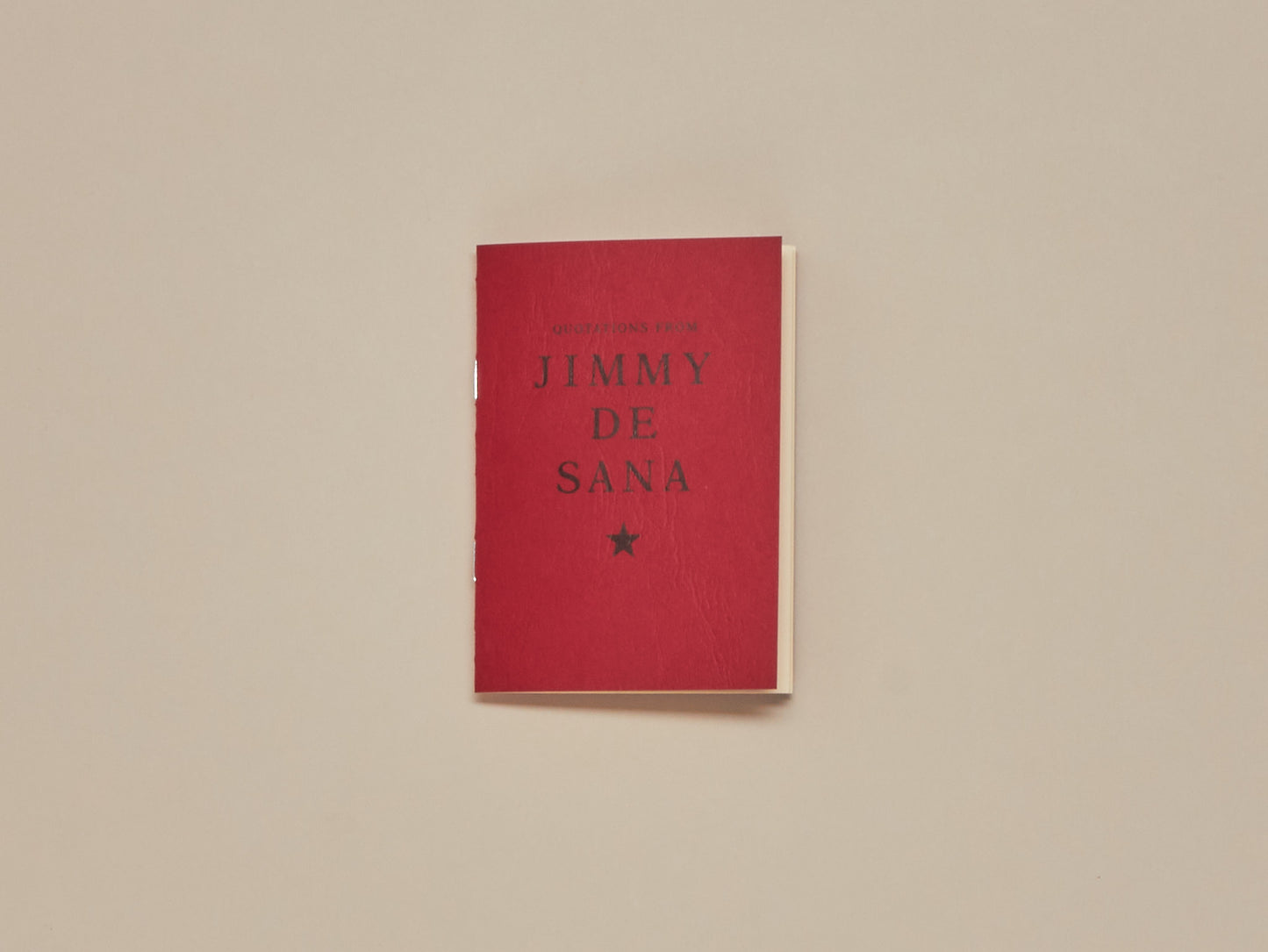 Quotations from Jimmy DeSana