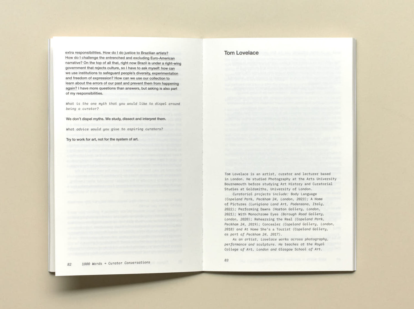 1000 Words, Curator Conversations