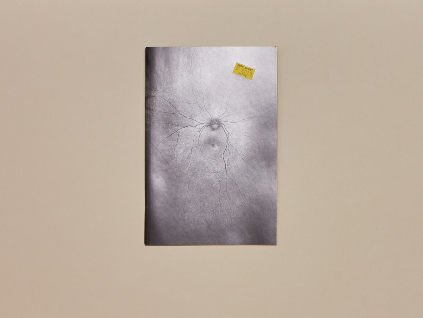 Toril Johannessen, Supplement 3: The Invention and Conclusion of the Eye