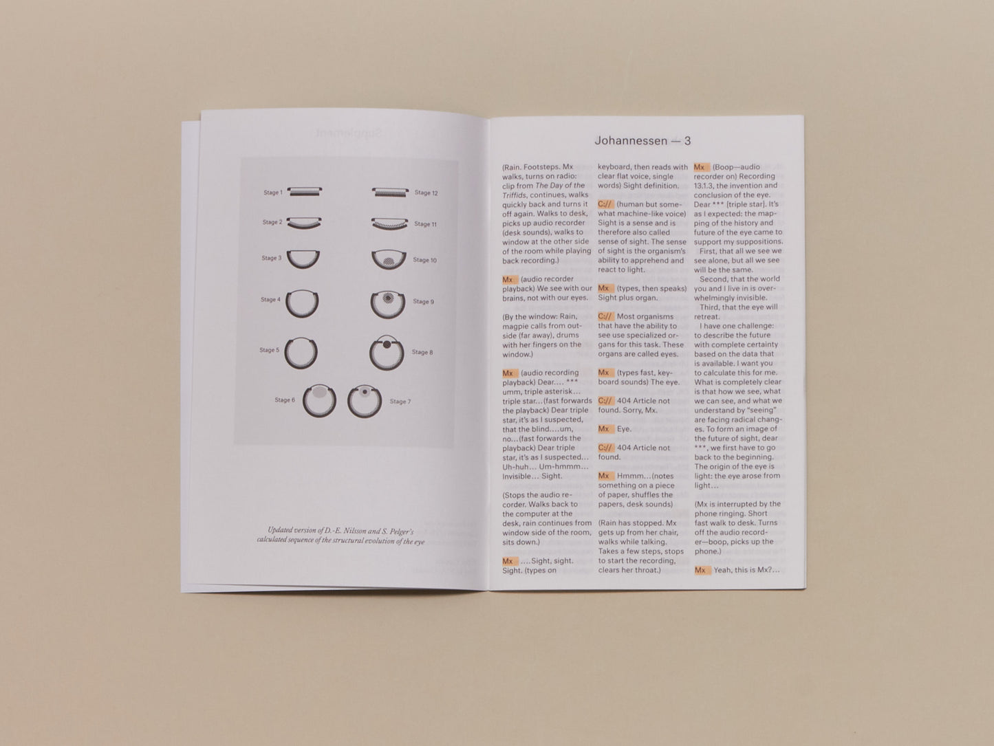 Toril Johannessen, Supplement 3: The Invention and Conclusion of the Eye