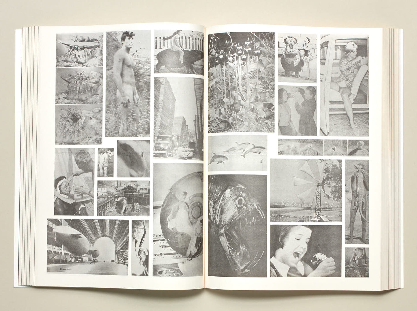 Steve Lawrence, Peter Hujar, Andrew Ullrick, Newspaper