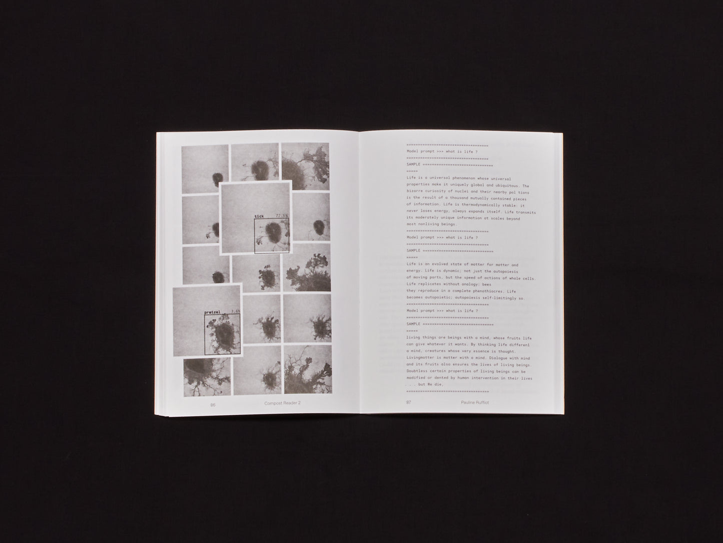 Compost Reader vol. II