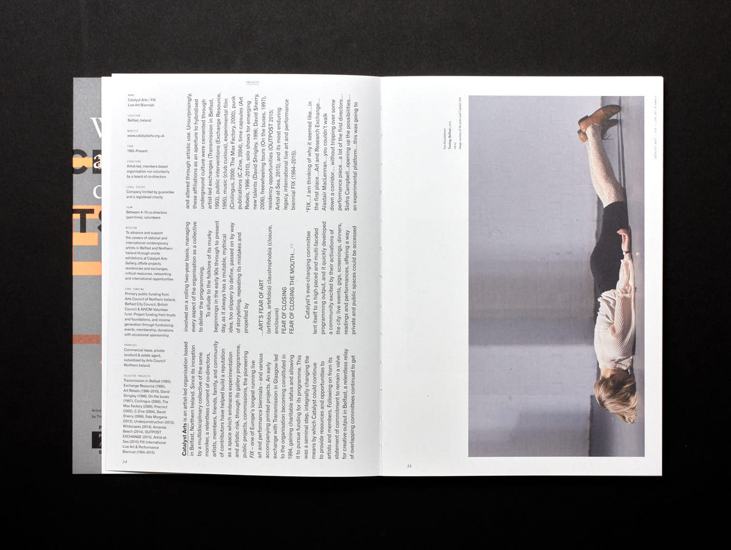 Gavin Murphy and Mark Cullen (Eds.), Artist-Run Europe Practice/Projects/Spaces