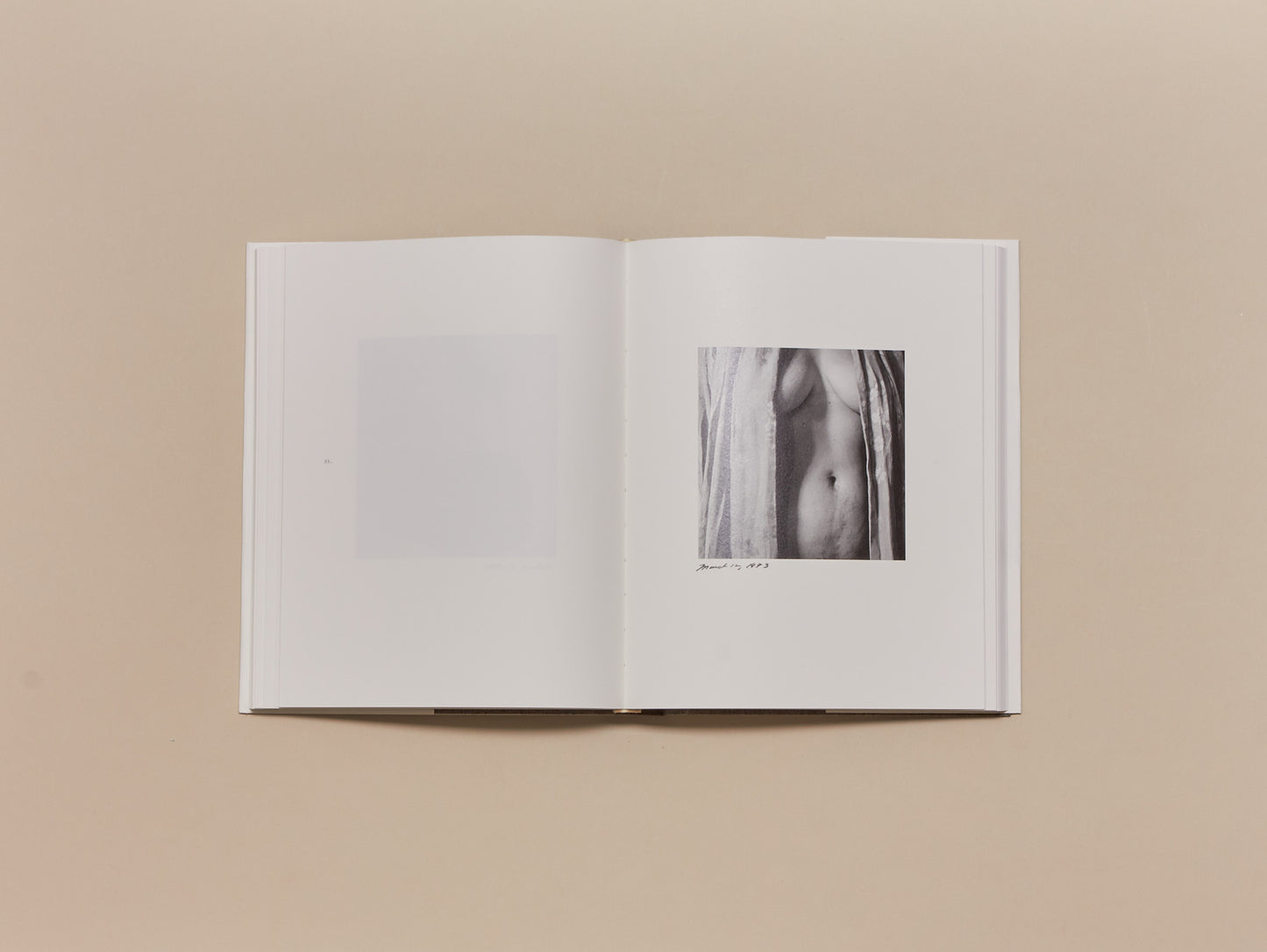 Melissa Shook, Daily Self-Portraits 1972–1973