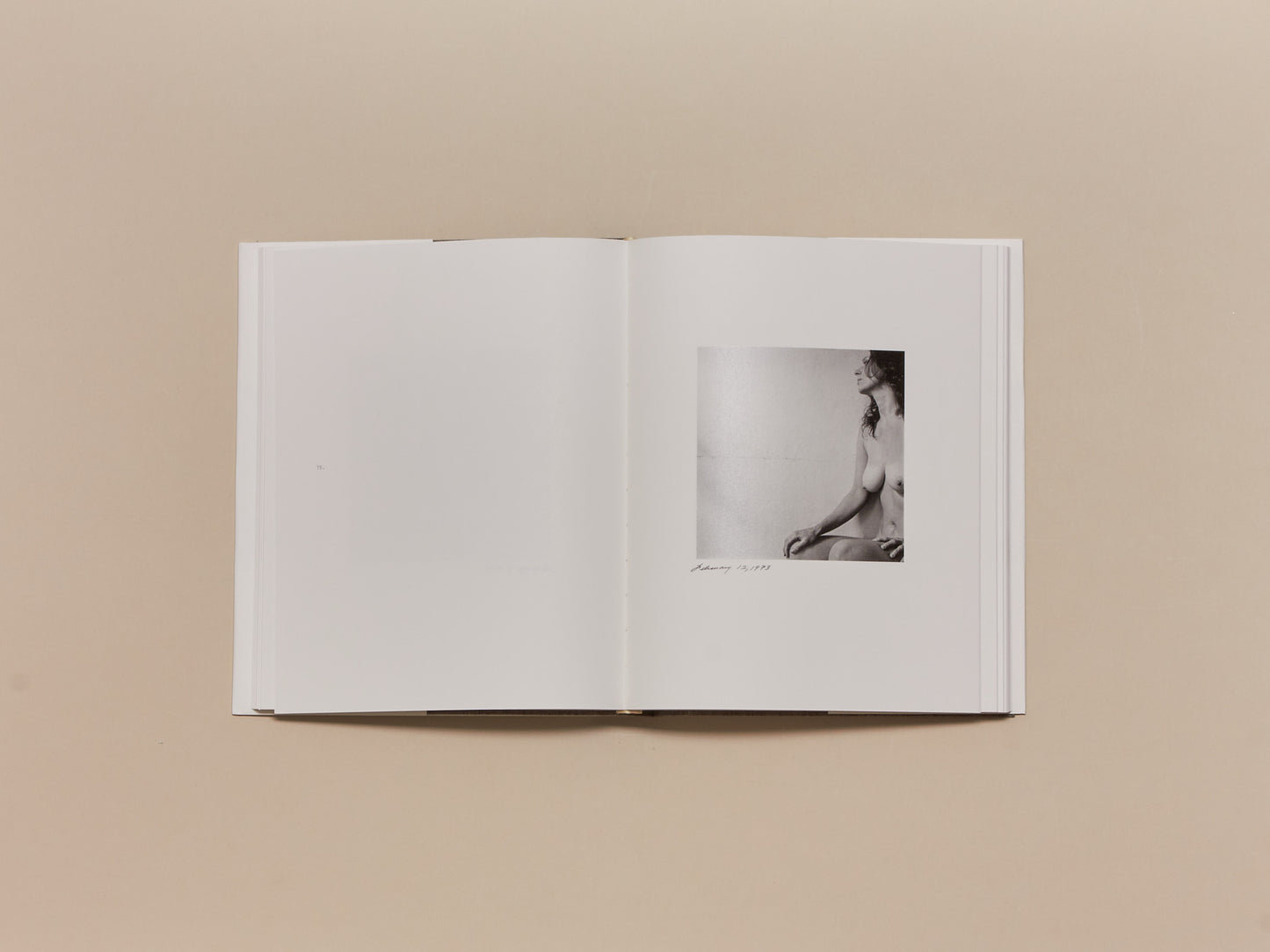 Melissa Shook, Daily Self-Portraits 1972–1973