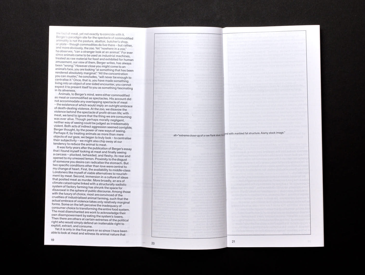 Real Review, Issue 15