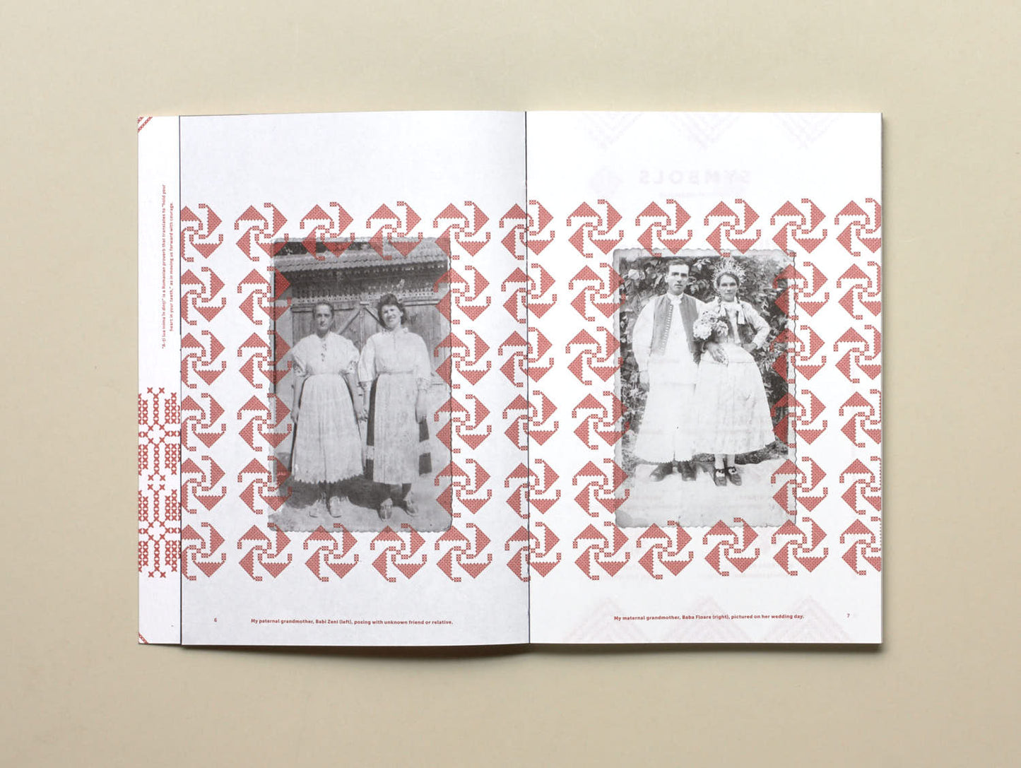 Simona Bortis-Schultz, To Hold Your Heart in Your Teeth, Women’s Work The Visual Language of the Romanian Blouse