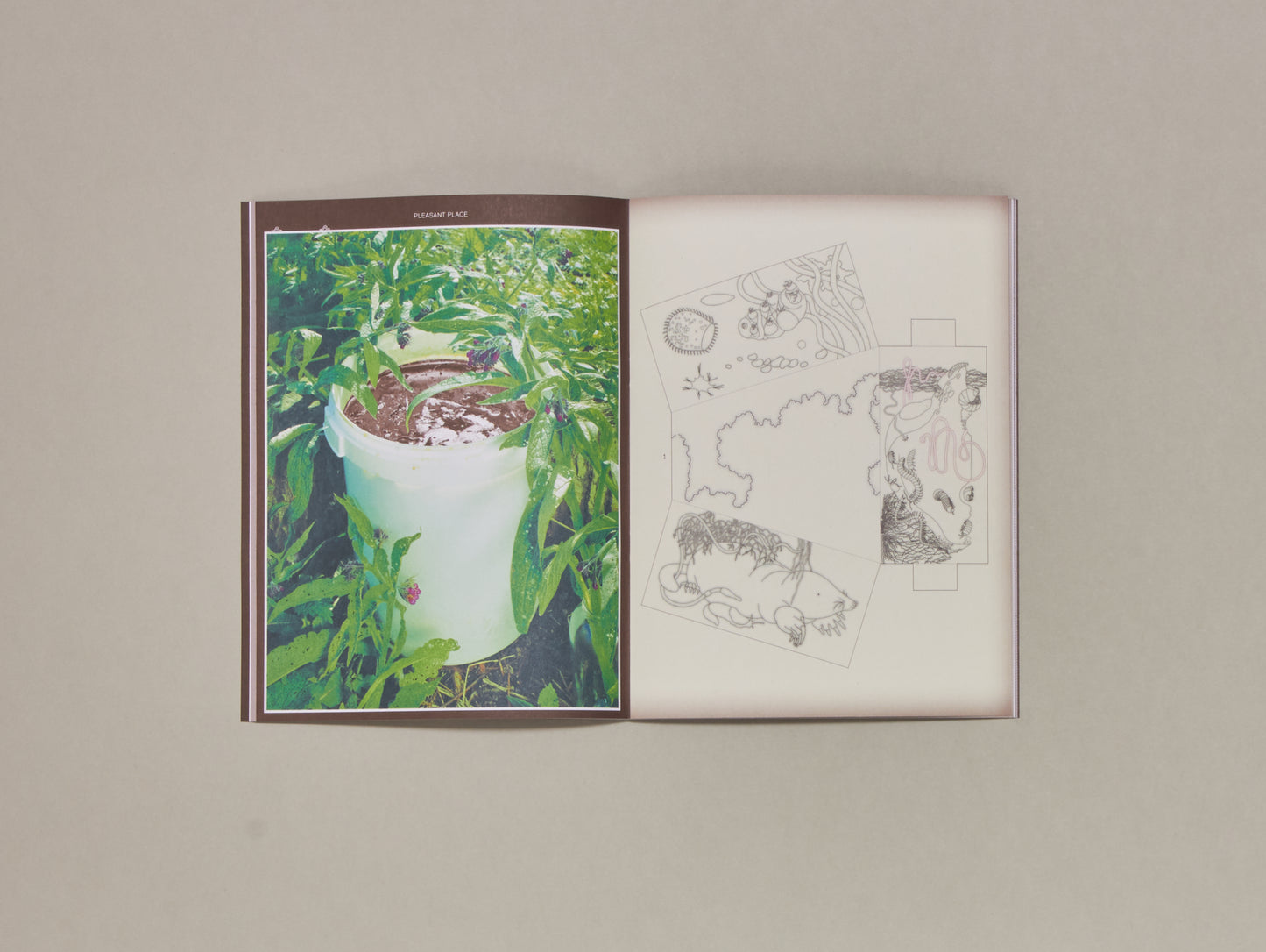 Pleasant Place, Issue 3: Compost