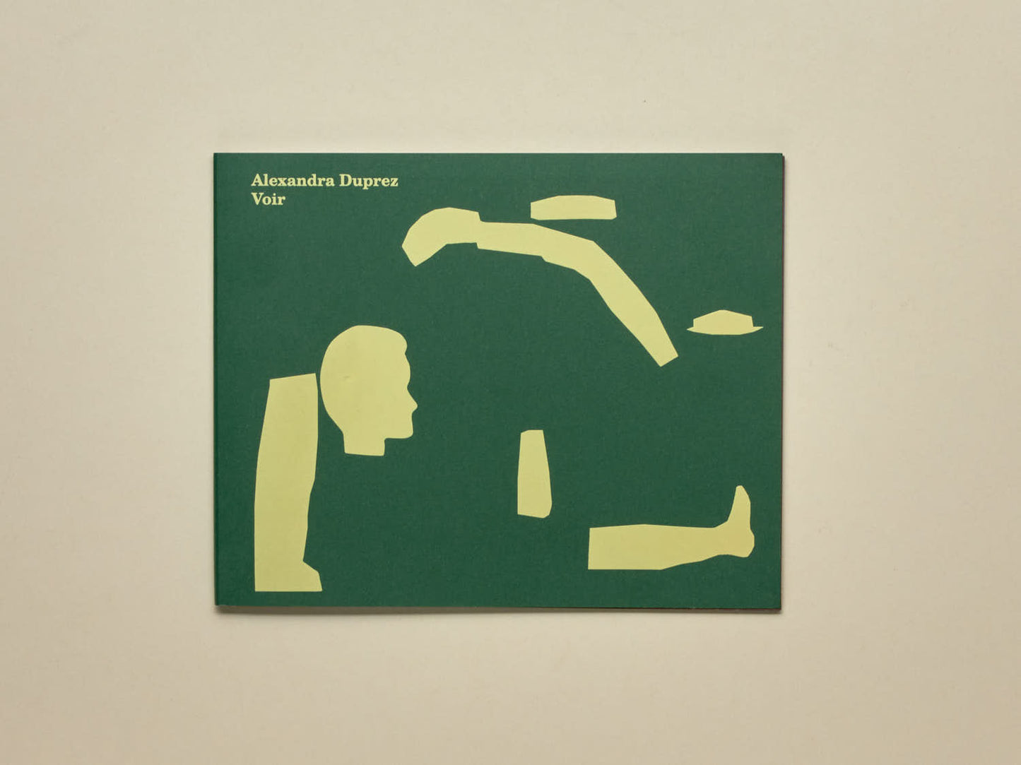 Alexandra Duprez, Voir et Imaginer