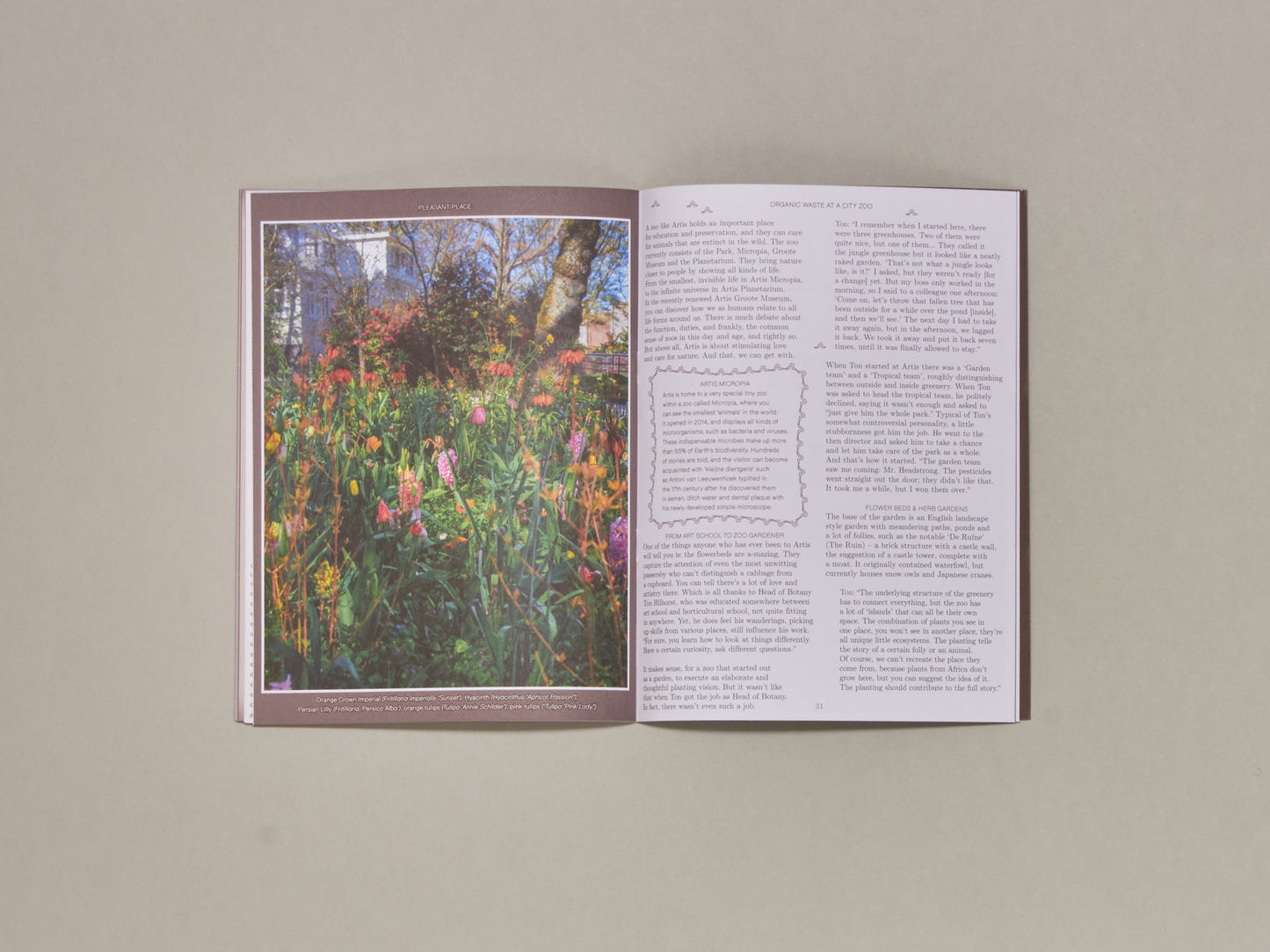 Pleasant Place, Issue 3: Compost
