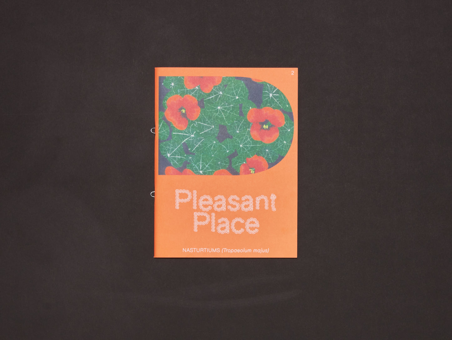 Pleasant Place, Issue 2: Nasturtiums