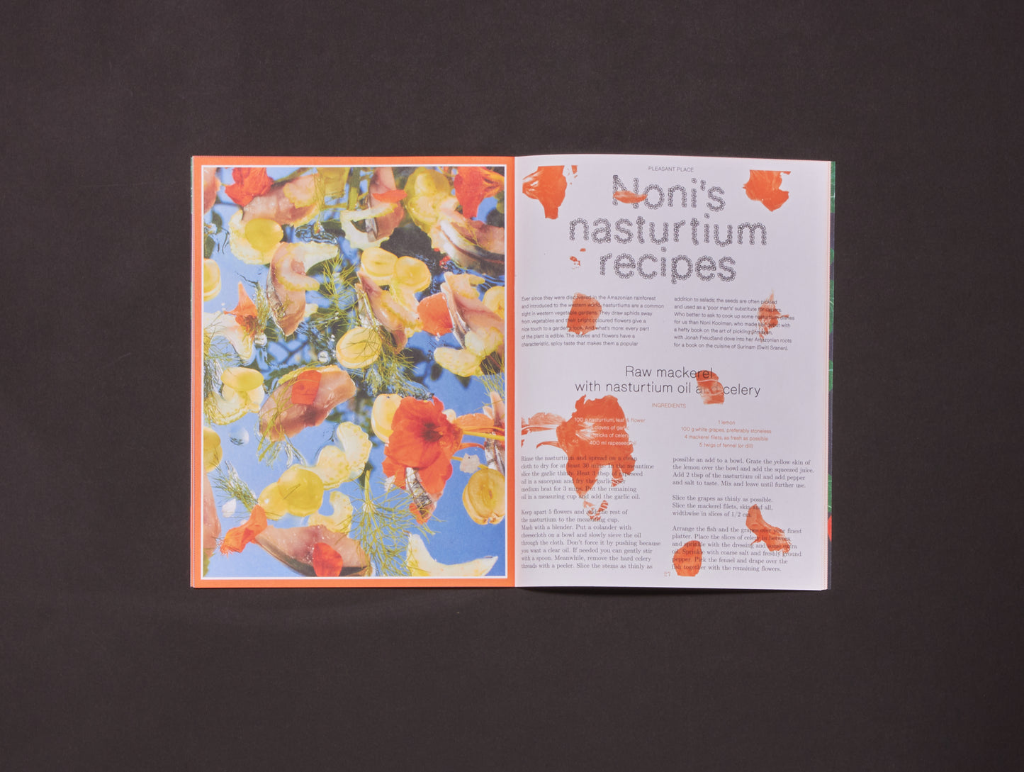Pleasant Place, Issue 2: Nasturtiums