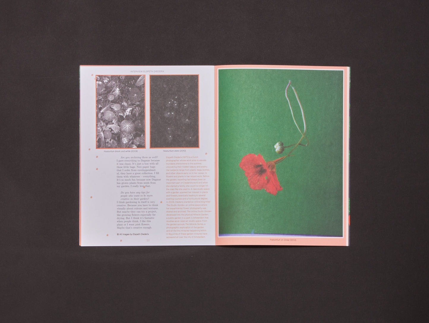 Pleasant Place, Issue 2: Nasturtiums