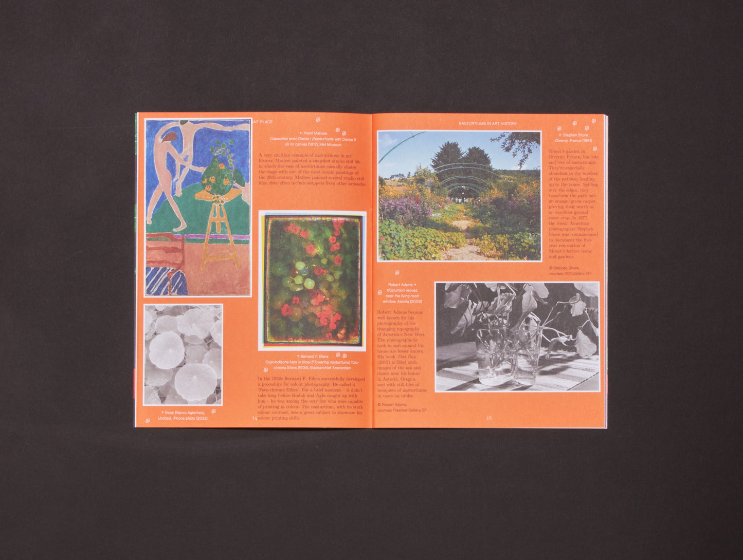 Pleasant Place, Issue 2: Nasturtiums