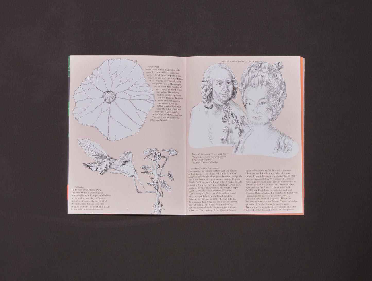 Pleasant Place, Issue 2: Nasturtiums