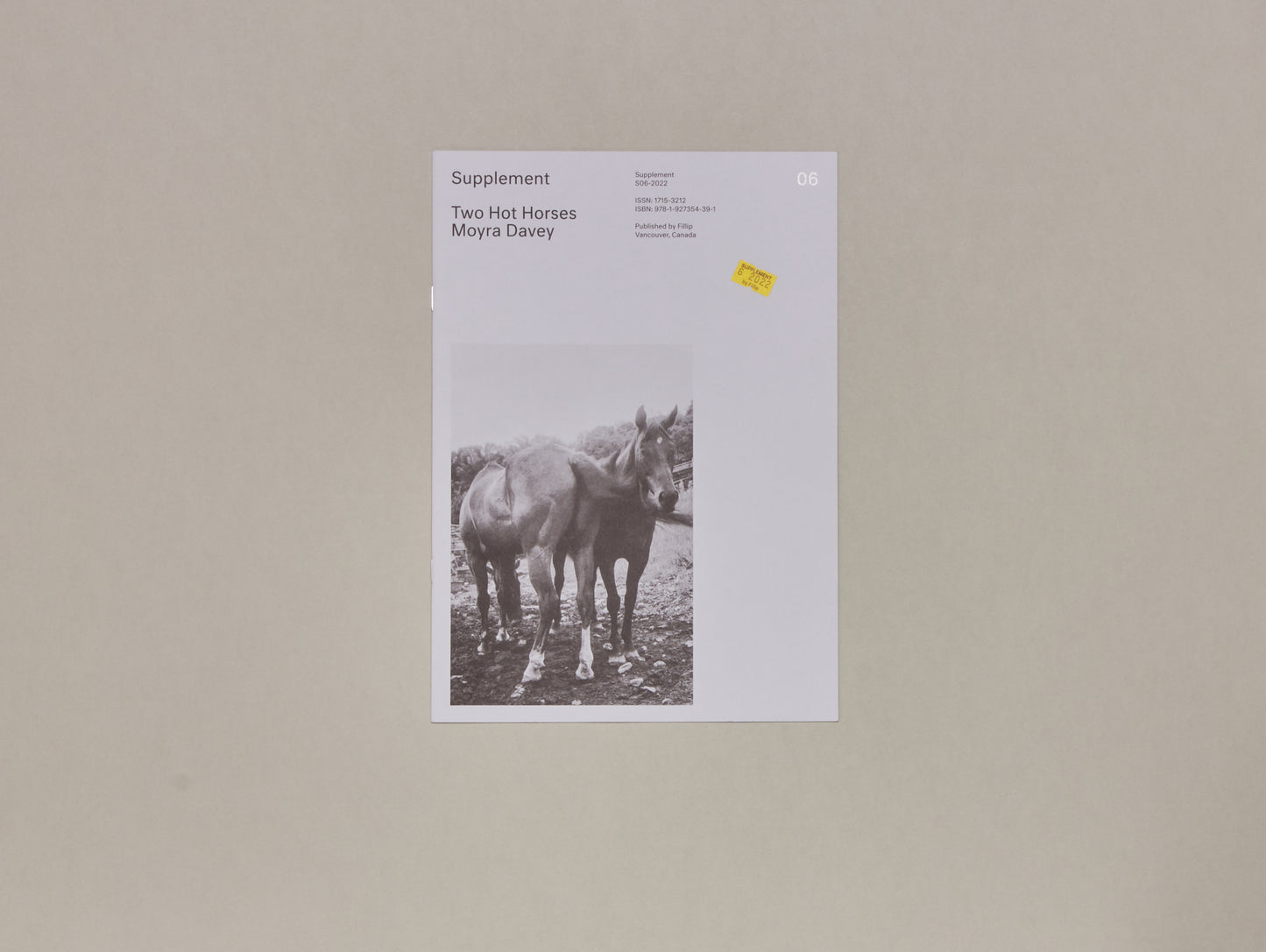 Moyra Davey, Supplement 6: Two Hot Horses