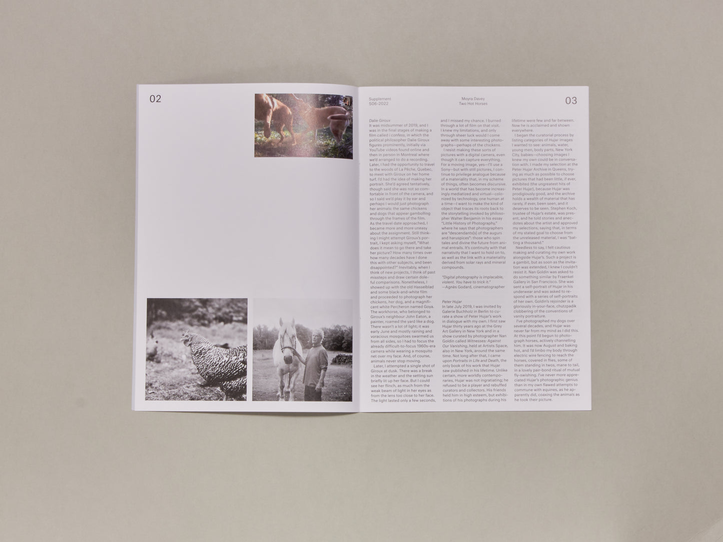 Moyra Davey, Supplement 6: Two Hot Horses