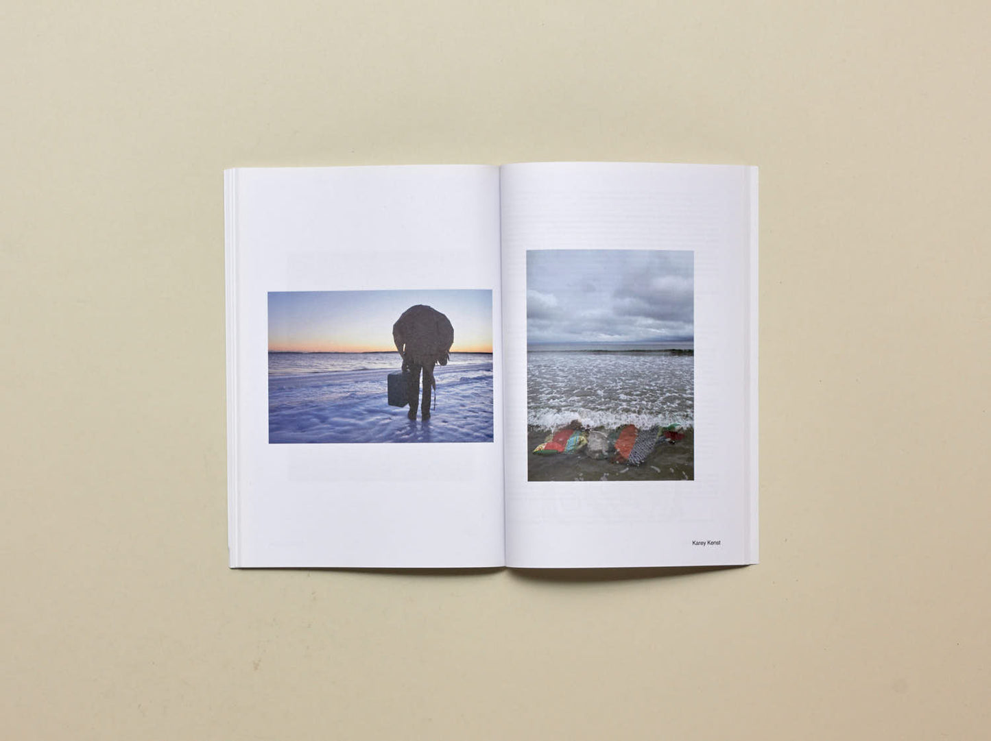 Various, a queer anthology of wilderness