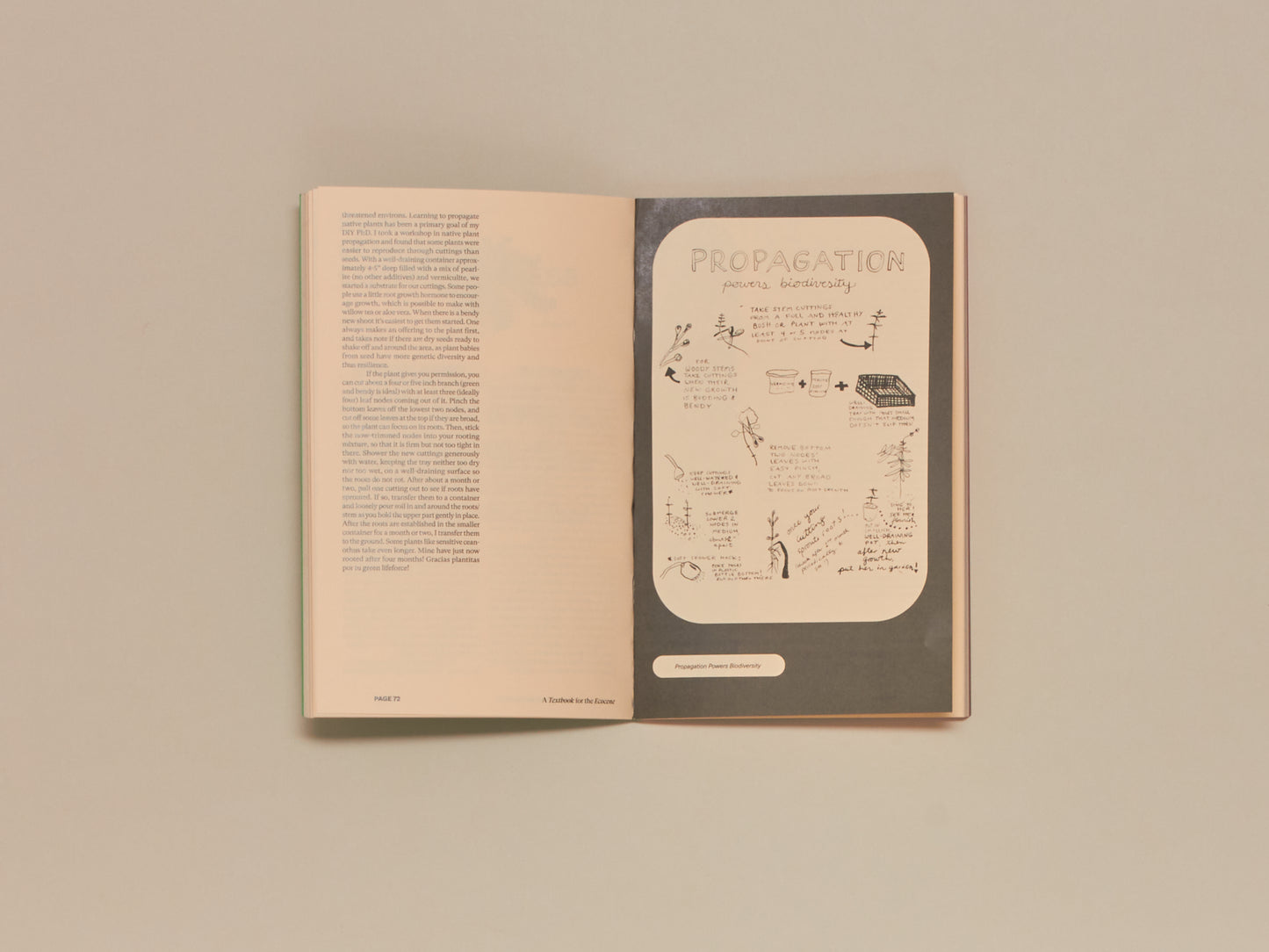 Sarita Dougherty, A Textbook For The Ecocene