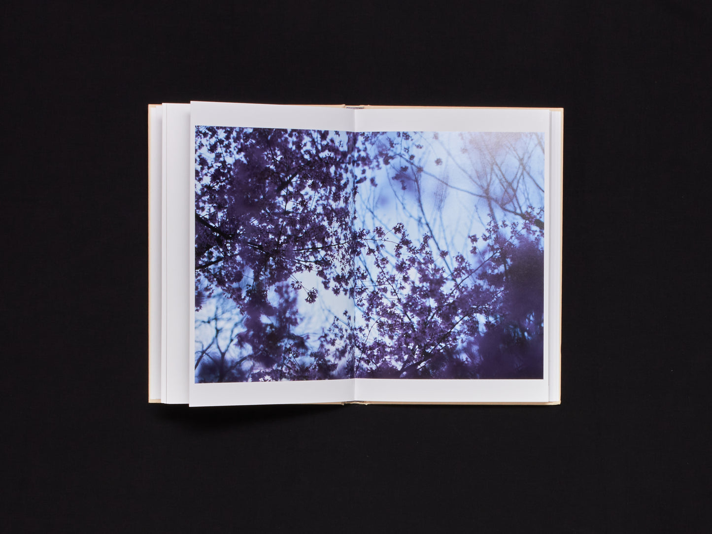 Shen Wei, A Season Particular
