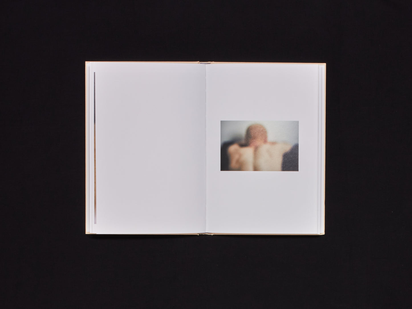 Shen Wei, A Season Particular