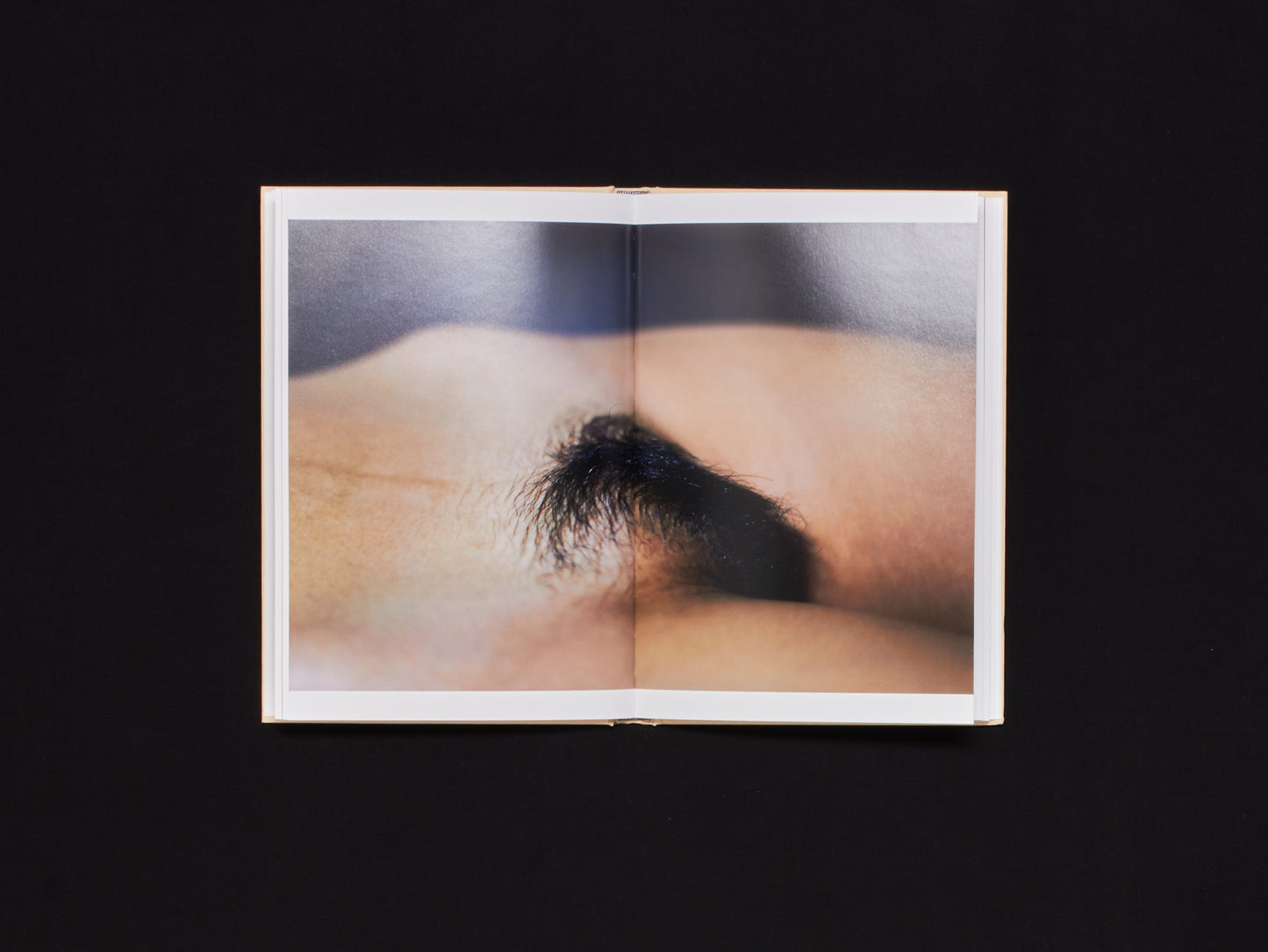 Shen Wei, A Season Particular