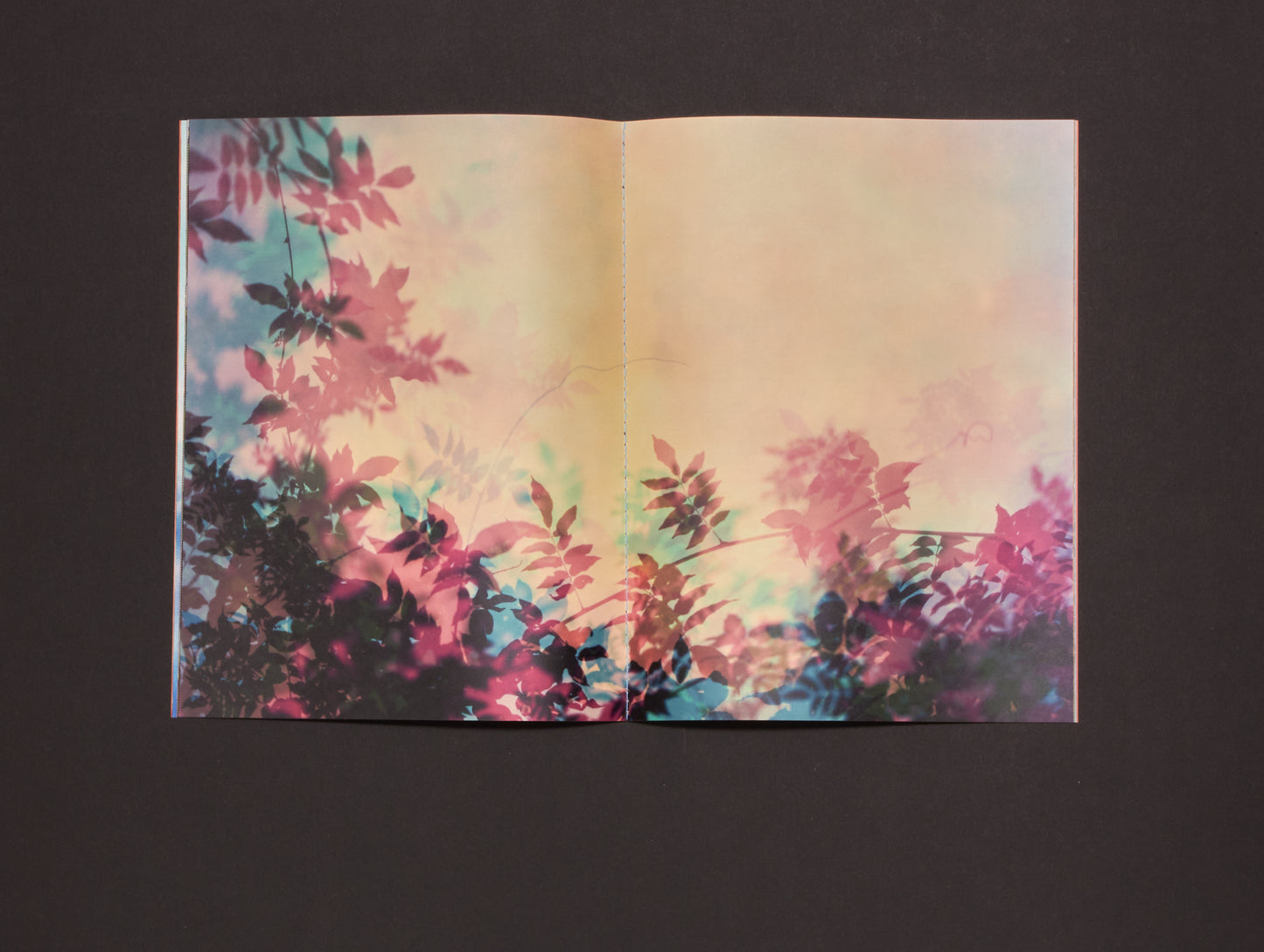 Bryan Graf, Errata Vol. 1: Field Recordings