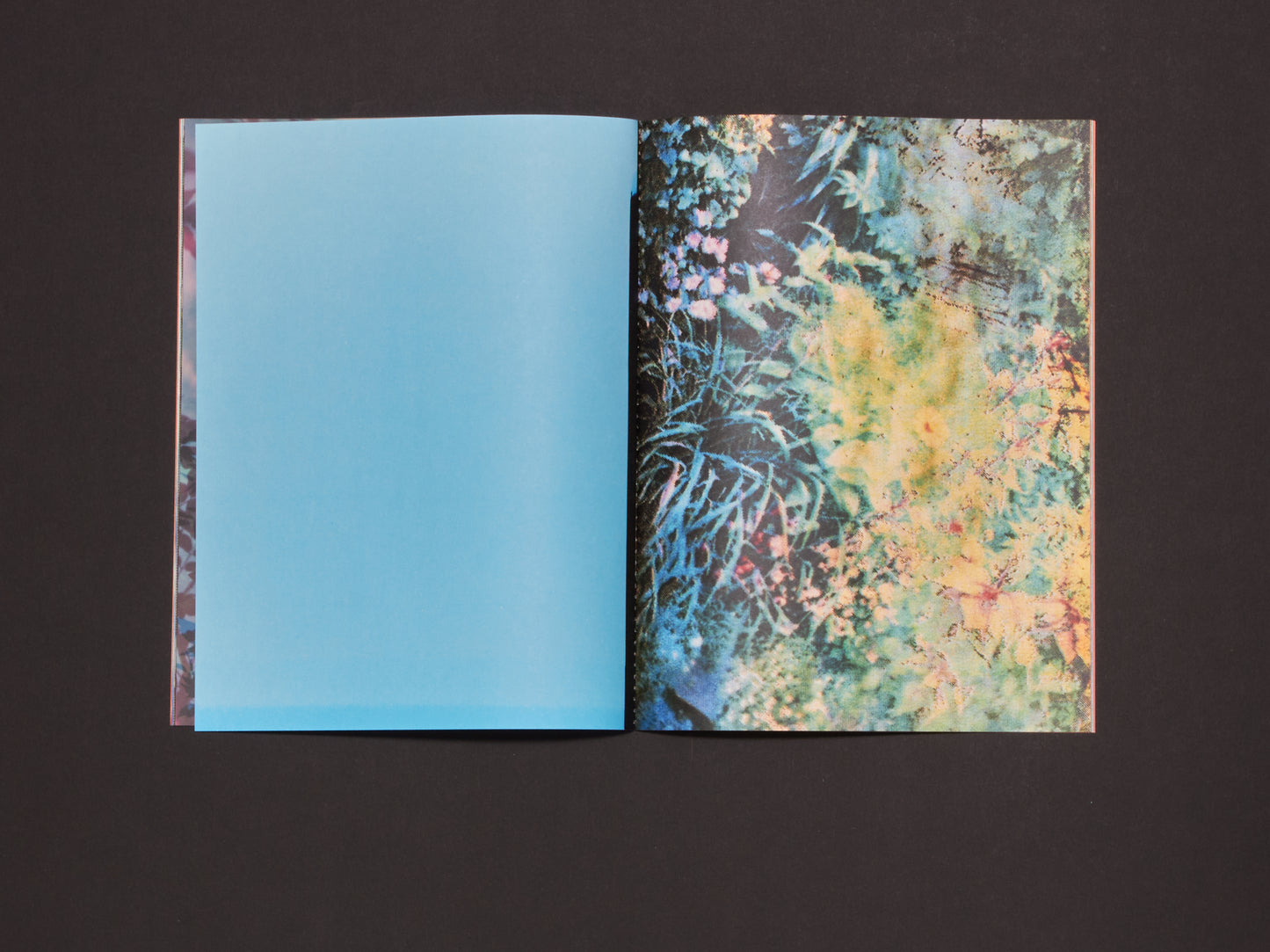 Bryan Graf, Errata Vol. 1: Field Recordings