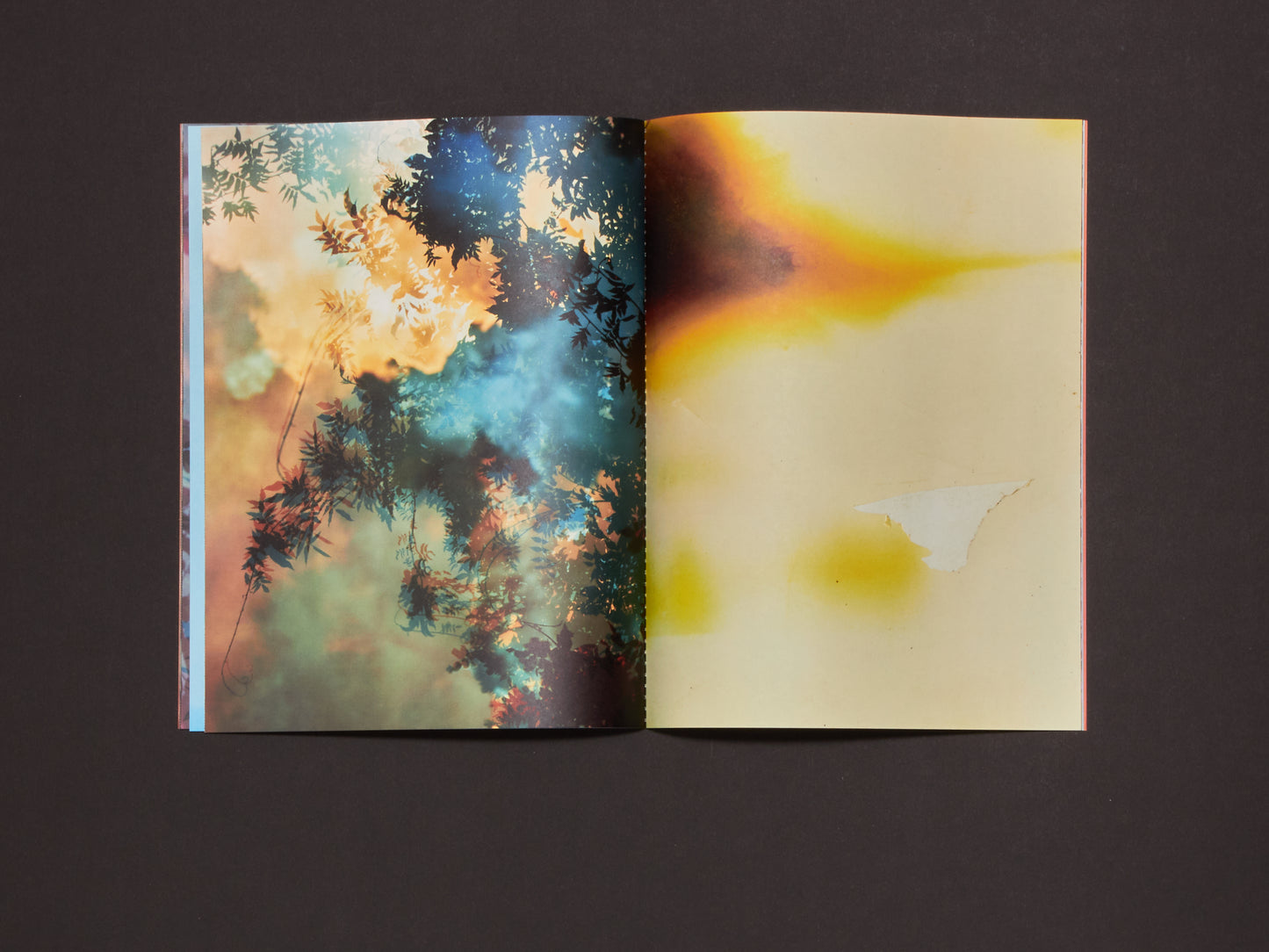 Bryan Graf, Errata Vol. 1: Field Recordings