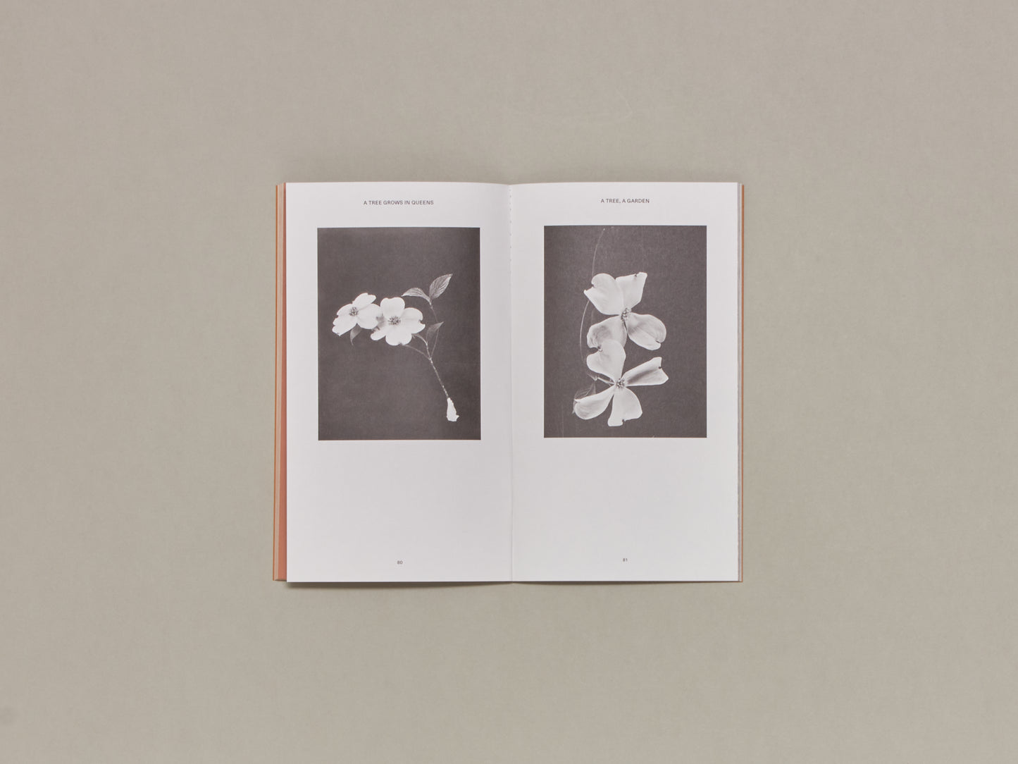 Magali Duzant, A Tree Grows in Queens