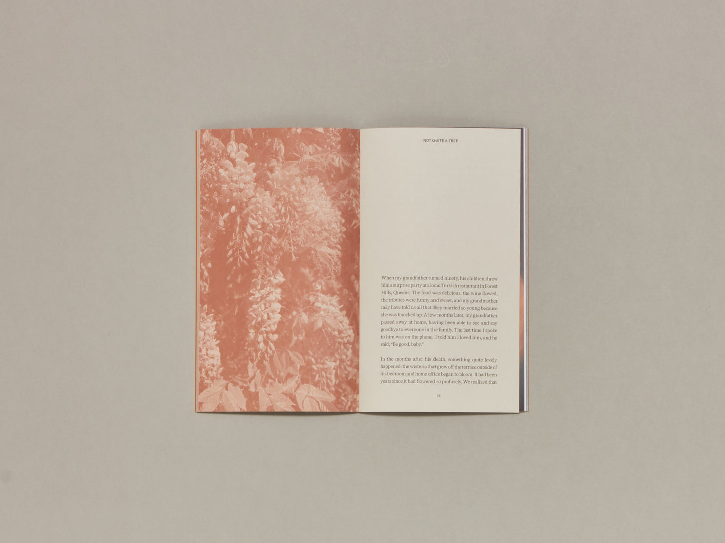 Magali Duzant, A Tree Grows in Queens