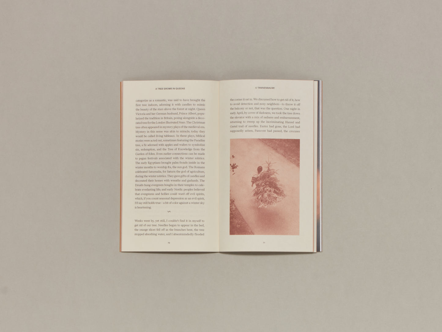 Magali Duzant, A Tree Grows in Queens