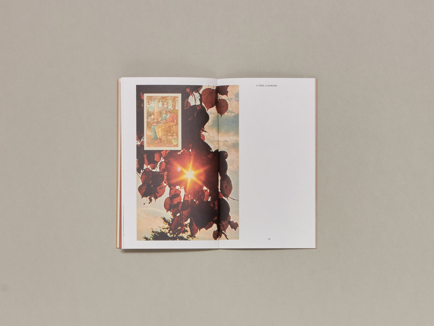Magali Duzant, A Tree Grows in Queens