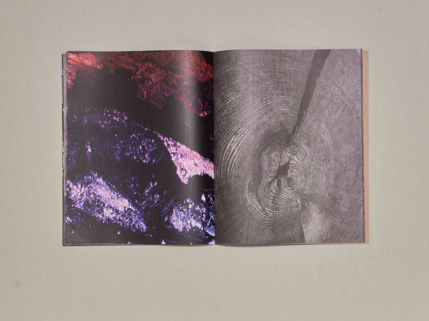 Marine Lanier, Le Jardin d’Hannibal