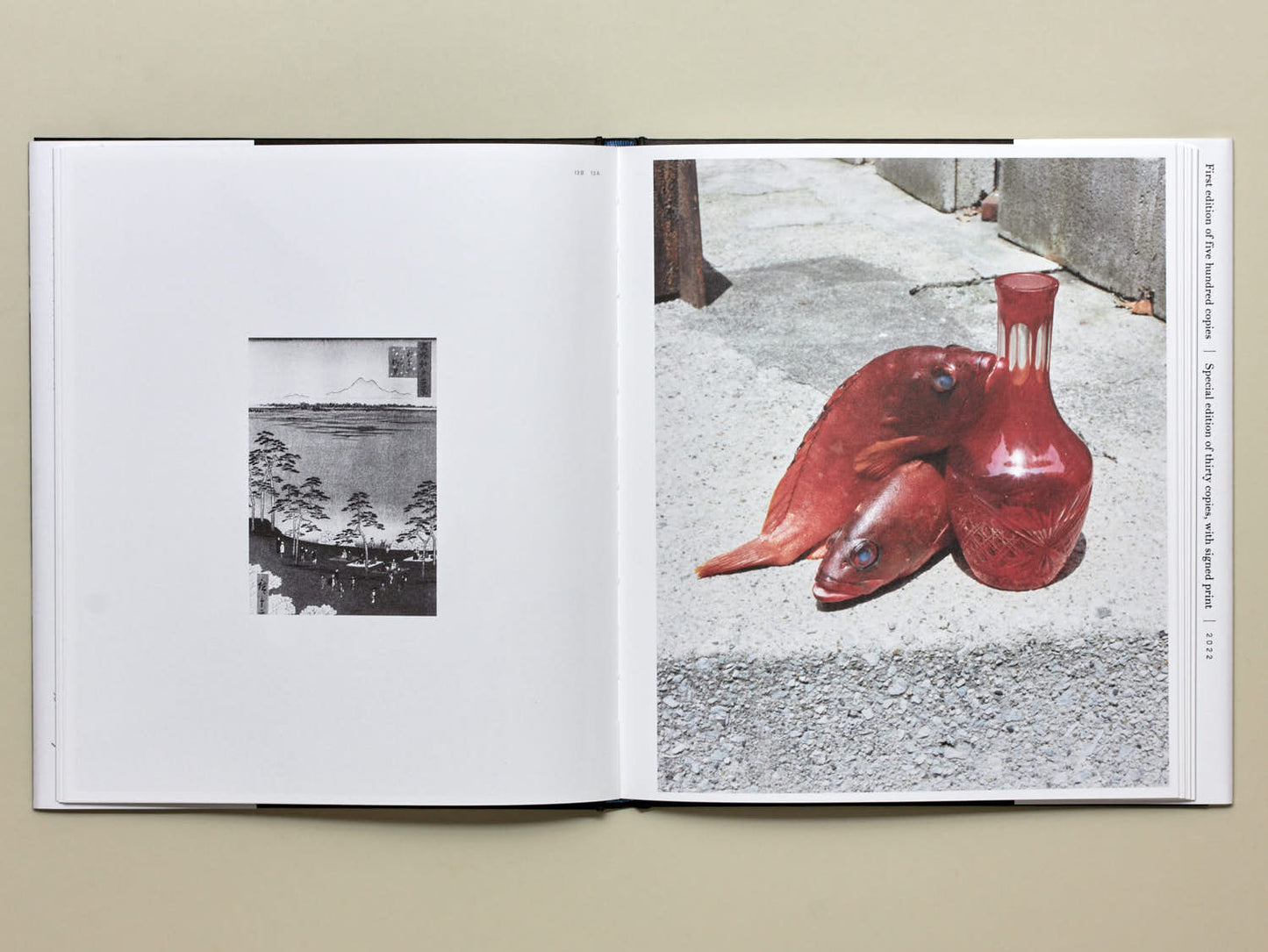 Naohiro Harada, Tokyo Fishgraphs