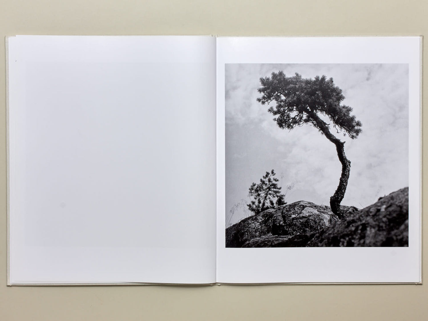 Gunnar Smoliansky, TRÄD