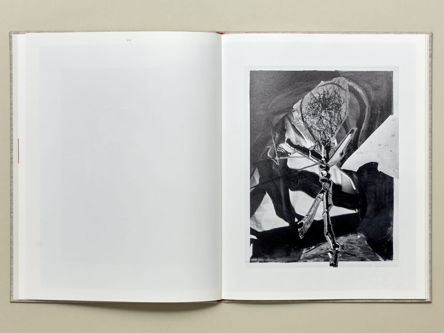 Annemarieke van Drimmelen and Jasper Krabbé, June