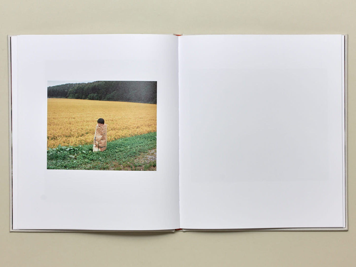 Osamu Yokonami, Small Town