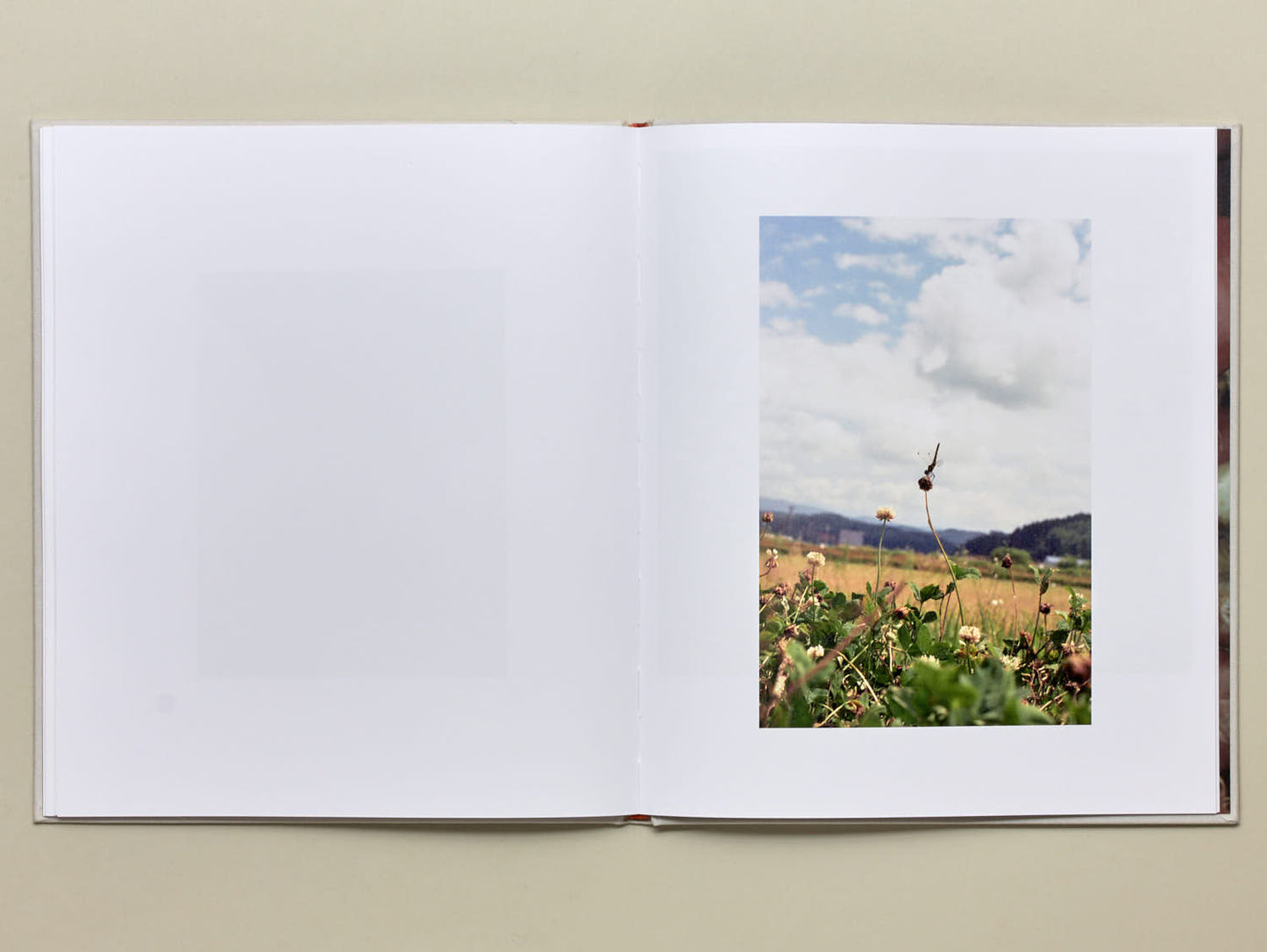 Osamu Yokonami, Small Town