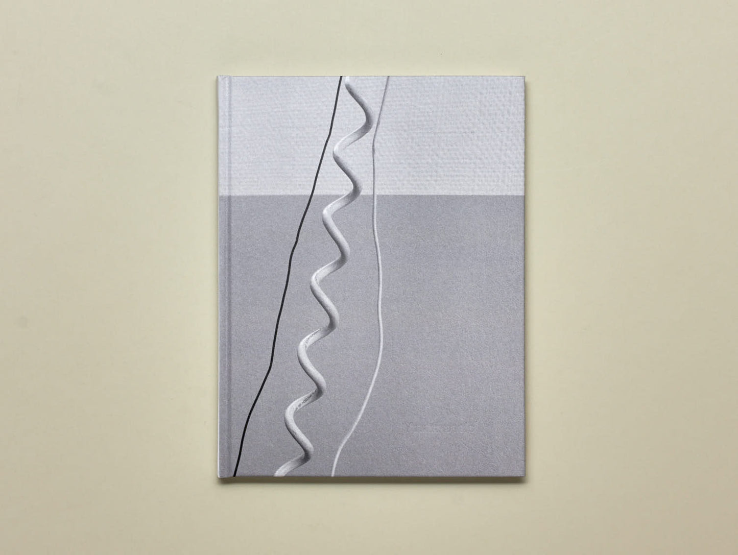 Aliki Christoforou, Anamnesis