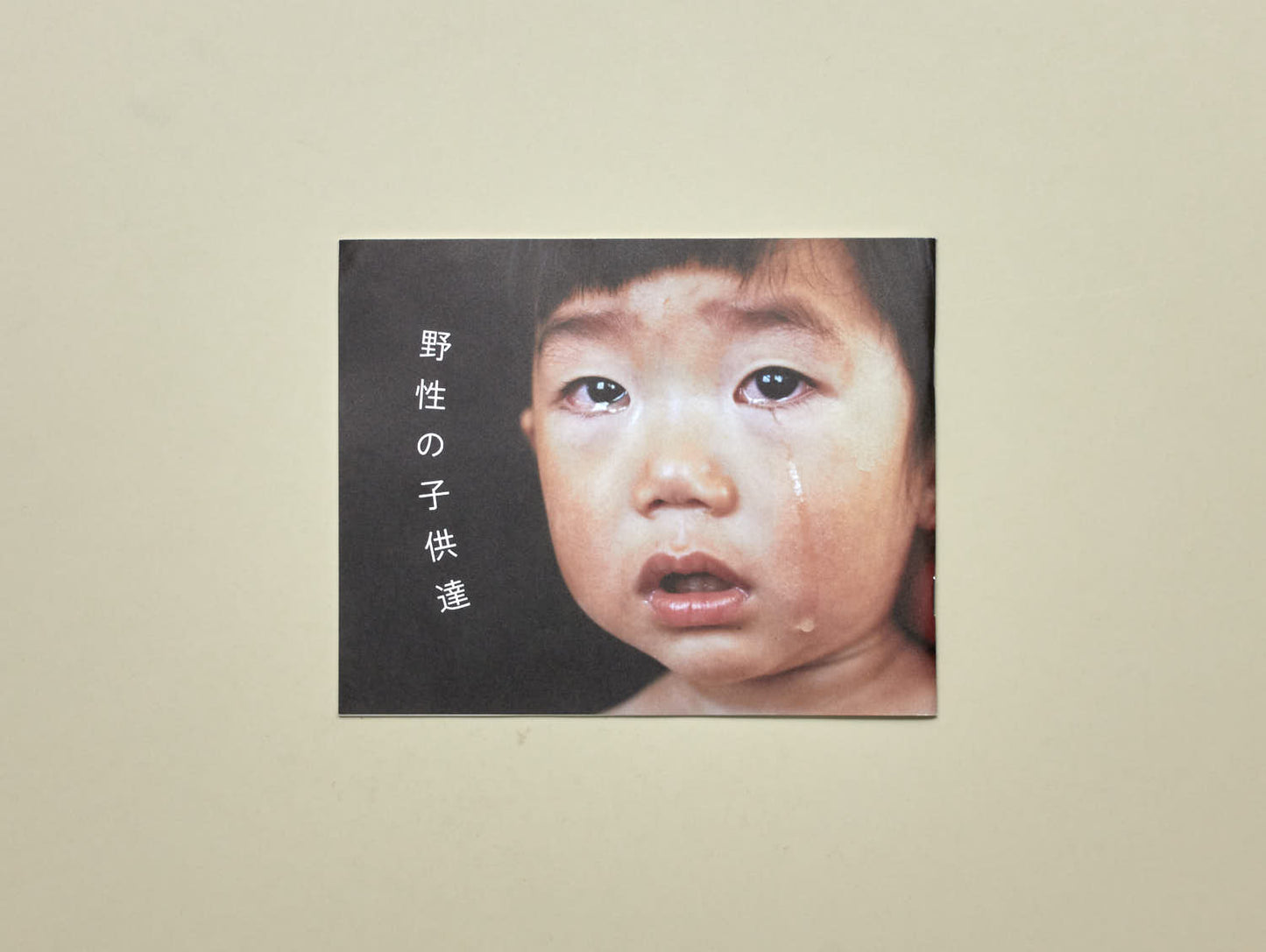 Osamu Yokonami, Wild Children