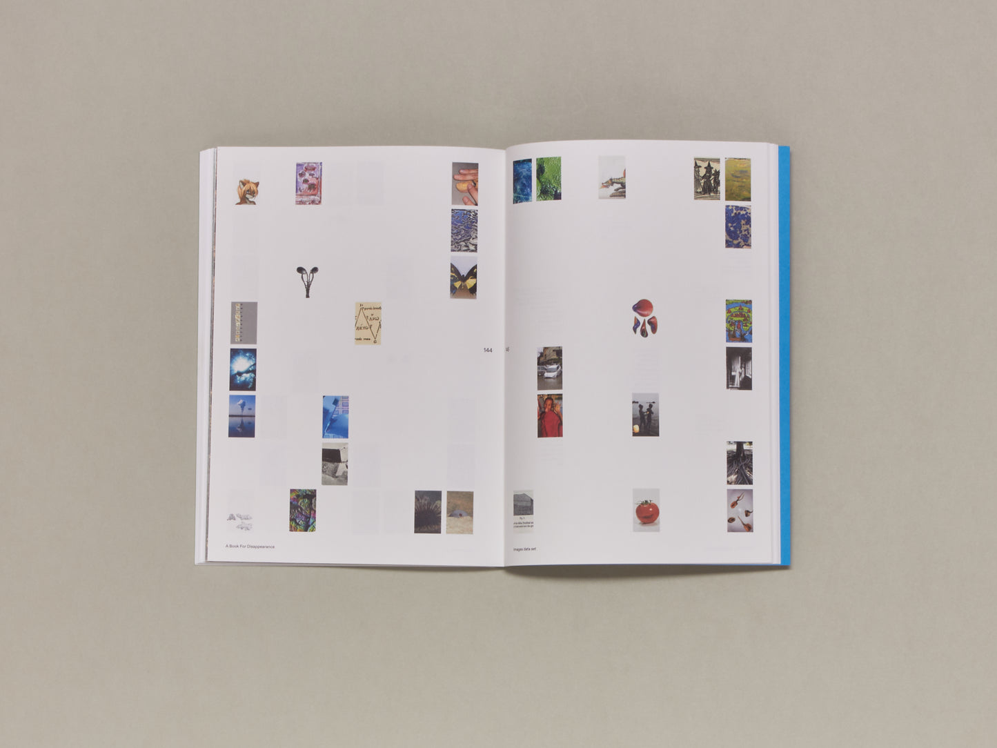 A Book for Disappearance