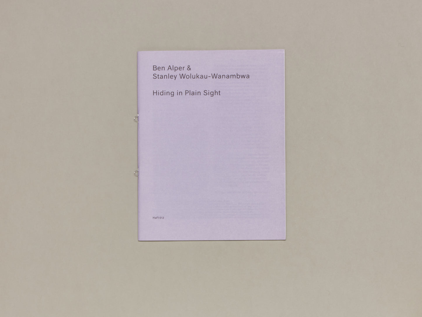 Ben Alper & Stanley Wolukau-Wanambwa, Hiding in Plain Sight