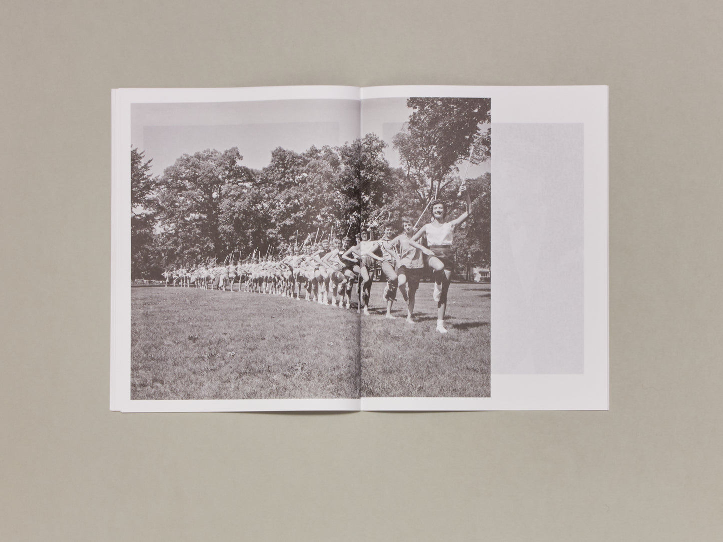 Ben Alper & Stanley Wolukau-Wanambwa, Hiding in Plain Sight