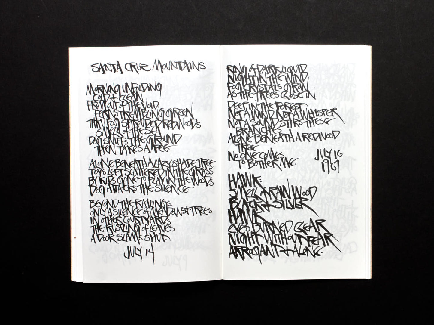 Martin Wong, Footprints, Poems, and Leaves