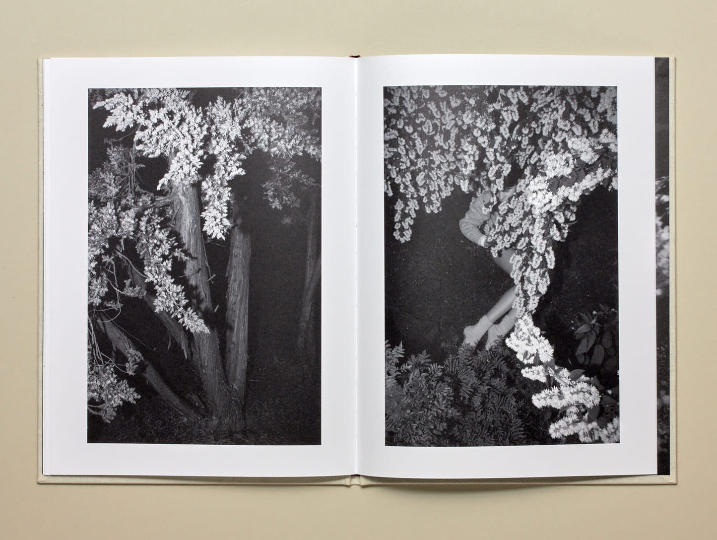 Viviane Sassen, Sol & Luna