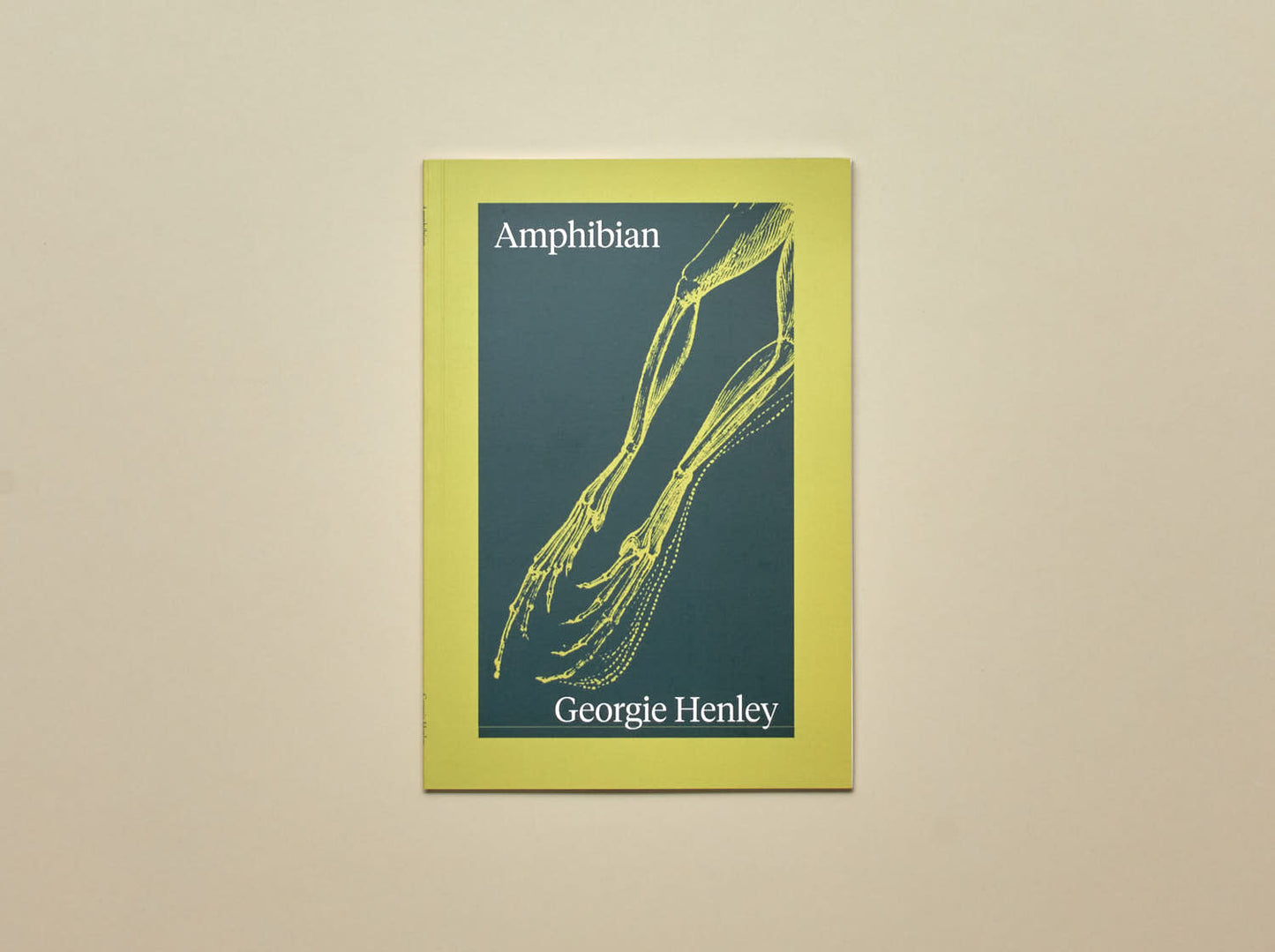 Georgie Henley, Amphibian